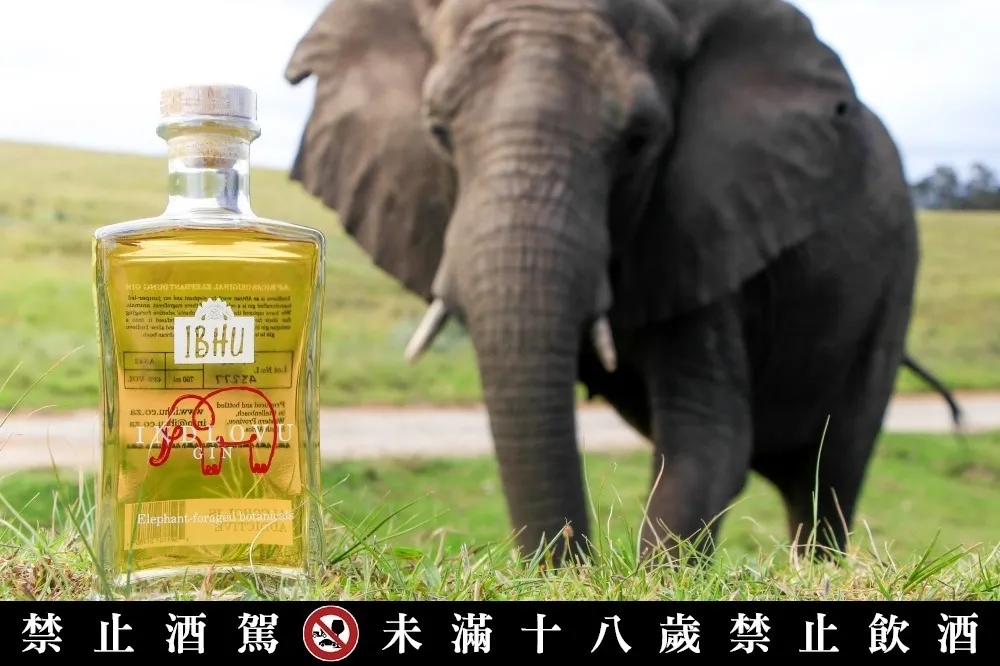 用大象糞便釀造？RÒU BY T-HAM 獨家代理南非大象琴酒「Indlovu」　Gin Tonic DIY 品飲會限量報名 