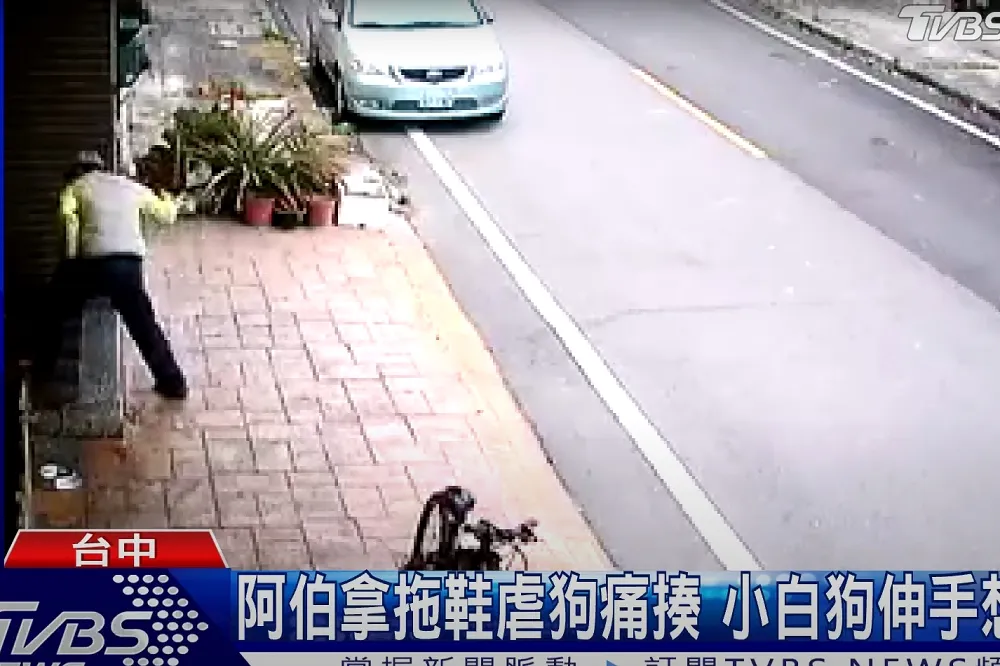 台中大甲男狠打狗為妻出氣　移送動保處嚴重可罰1萬5