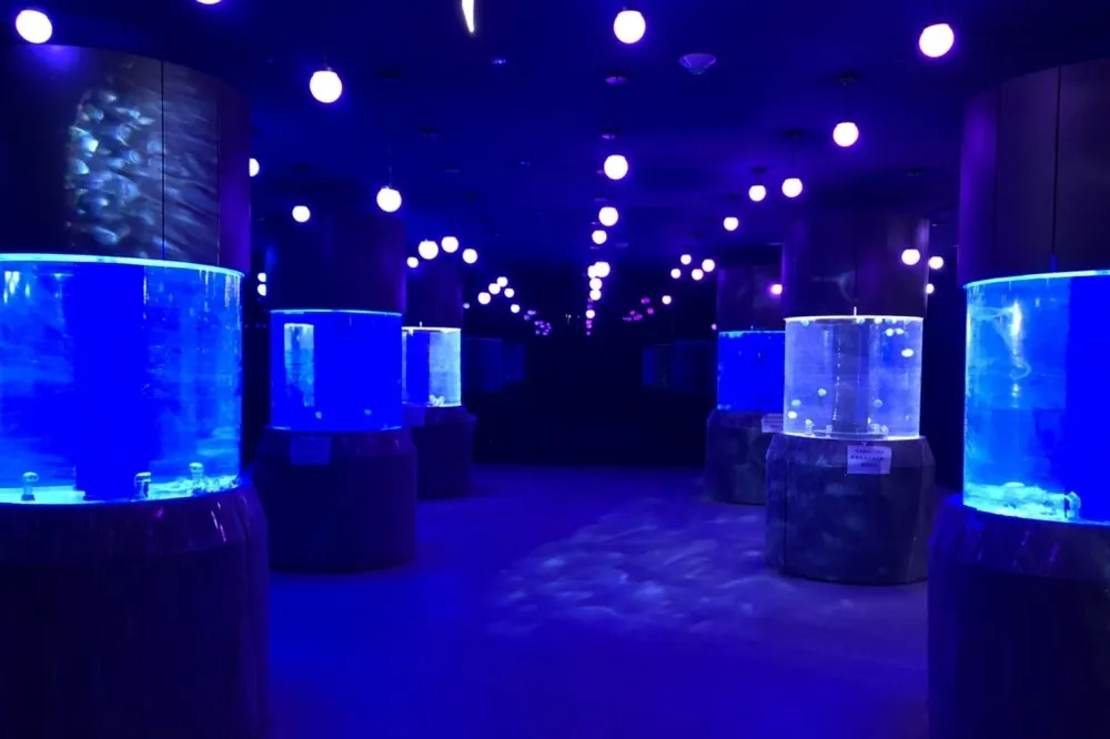 北北基首座結合高科技的水族館！基隆潮境智能海洋館開幕　最美咖啡廳與茶飲品牌將進駐