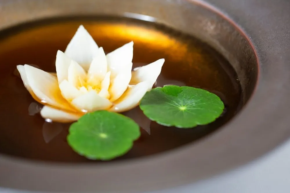 【蔬食風潮 2】概念蔬食 fine dining「Curious」　首波菜單揉合花卉想像