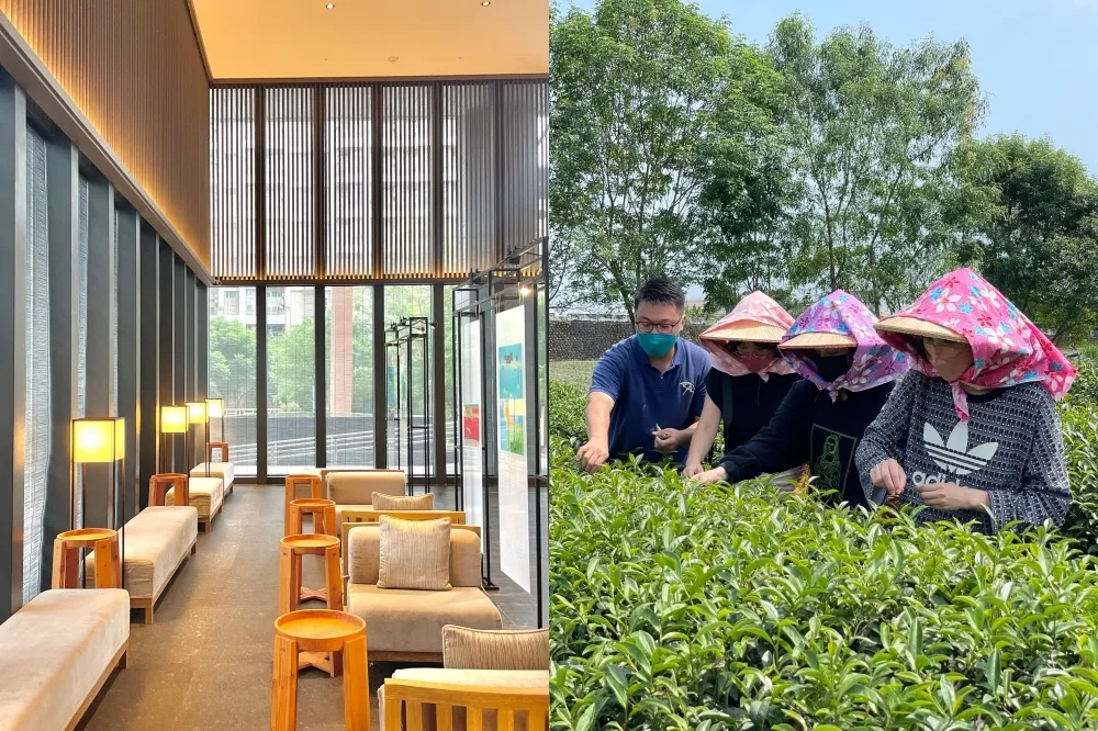 【有片】礁溪晶泉丰旅推「悠遊茶園」住房專案！無邊際泳池泡溫泉看龜山島　DIY 絹印茶葉枕每人 2800 元起