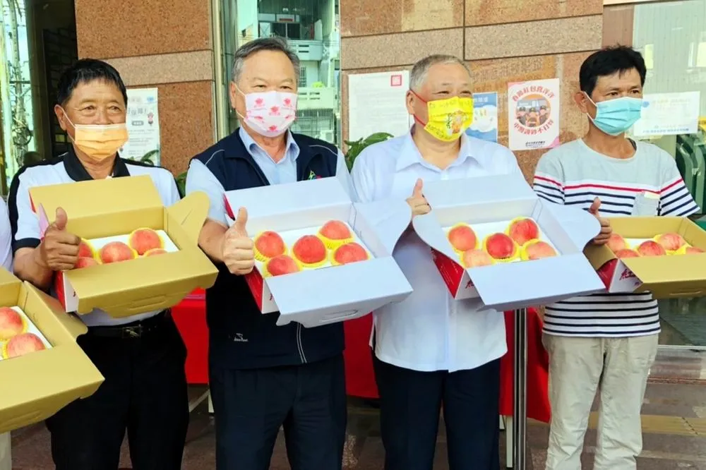 台中市太平優質水蜜桃評鑑　農友陳以育奪冠