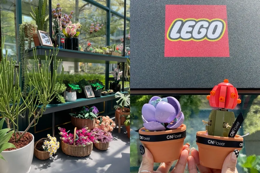 【有片】樂高植感溫室快閃台北！限定贈 CNFlower 聯名花禮　新品「多肉植物」與「蘭花」同步亮相