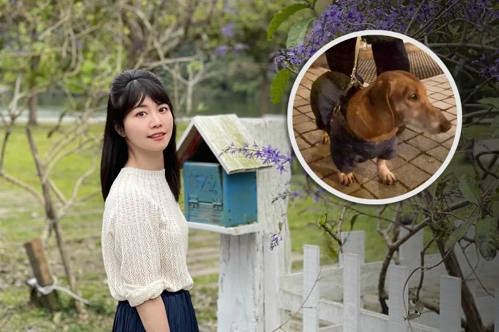 高嘉瑜質疑「獸醫違法用藥」遭飼主圍剿　今協調放寬藥物進口門檻