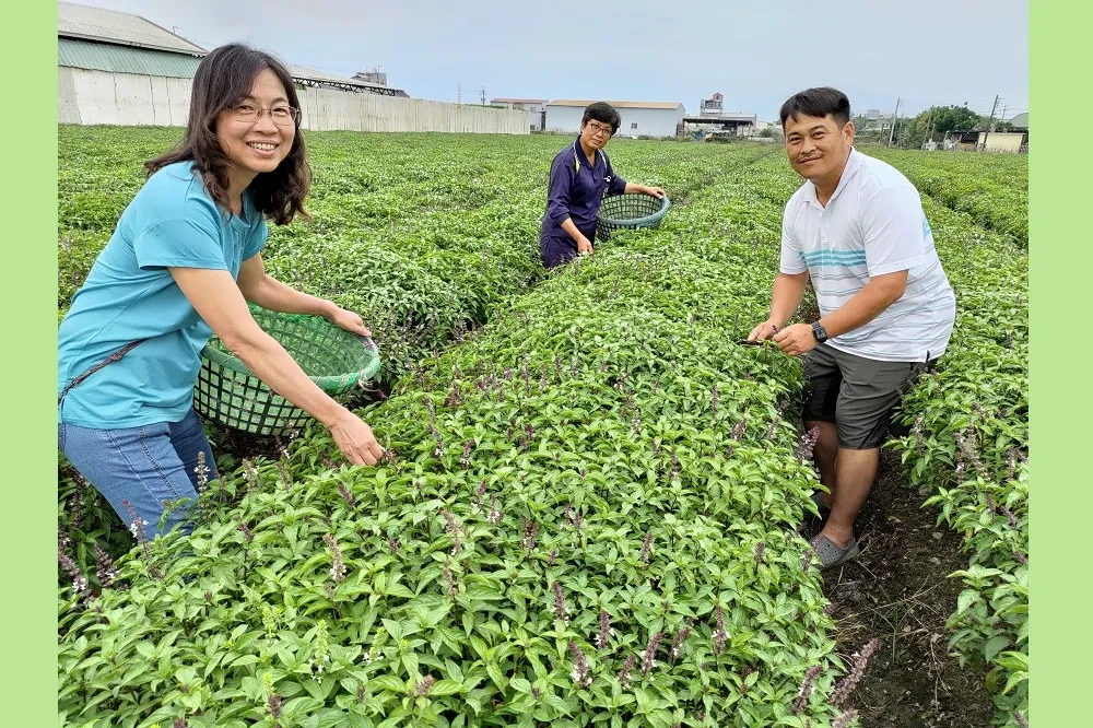 母親節籲返鄉拚百萬年薪　樸作良食公開徵求契作戶