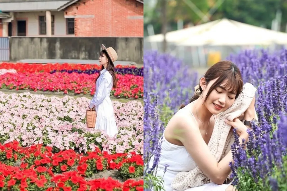母親節帶媽媽拍美照！彰化「董家花田」康乃馨花季開跑　絕美花海期間限定至 5 月底