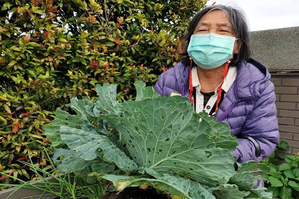 5月5日「立夏」妙習俗　秤體重後不易怕熱和厭食