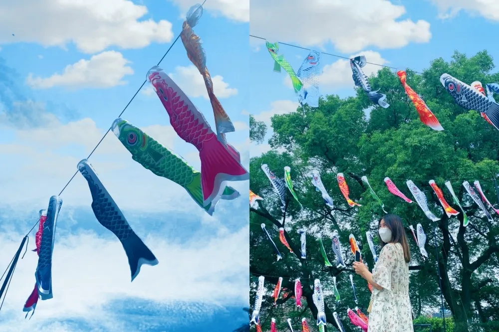 桃園神社「鯉魚流光祭」免費逛！百面鯉魚旗在藍天飄揚　日本浮世繪展、和菓子 DIY 同步登場