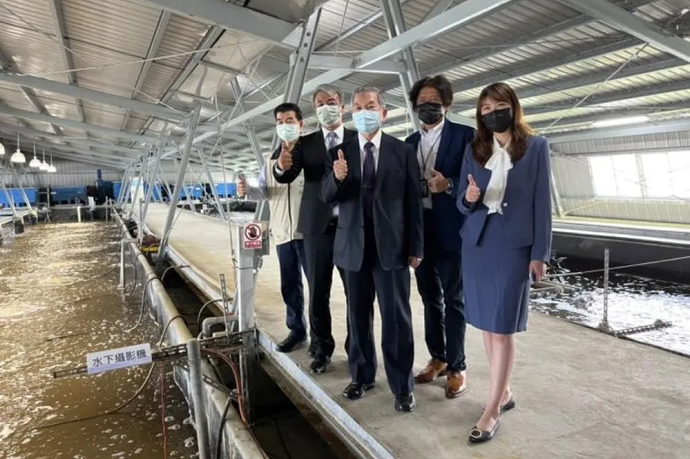 綠能加持、漁獲量翻倍！漁電共生規劃1.2萬公頃專區　2025年拚4.4GW