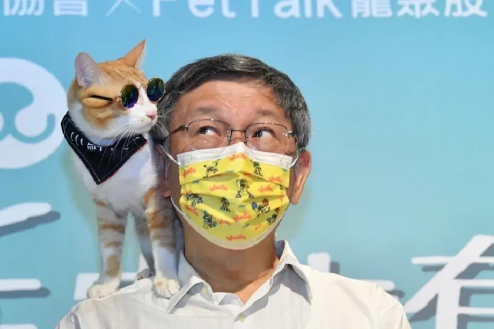 陳嘉宏專欄：「台北神童」這次怎麼不準了