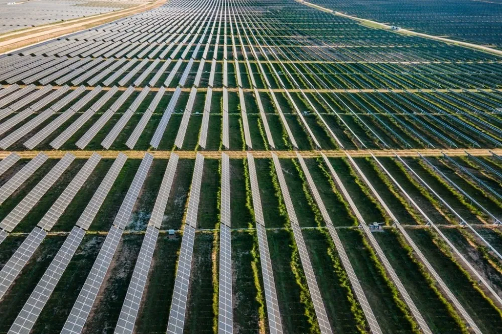 歐洲最大太陽能開發商Lightsource bp進軍台灣　推動150MW漁電共生案場