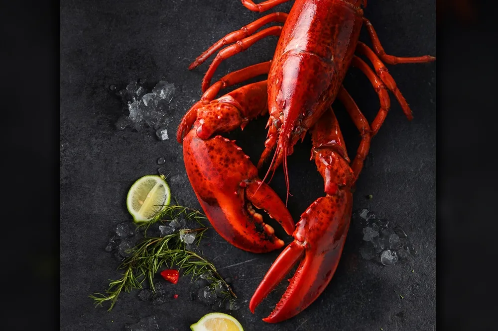 【三劑疫苗美食優惠】來夏慕尼送整隻龍蝦！青花驕、和牛涮、尬鍋、嚮辣 6/30 前內用 88 折