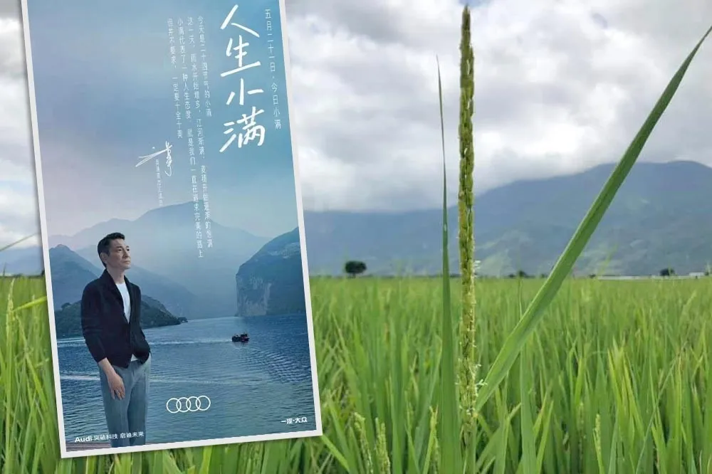 你的祖宗沒有大智慧