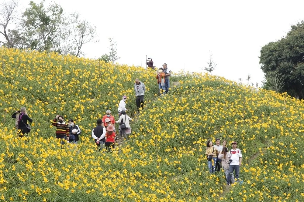 拯救觀光大作戰！政府豪撒55億　國旅振興方案9月上路