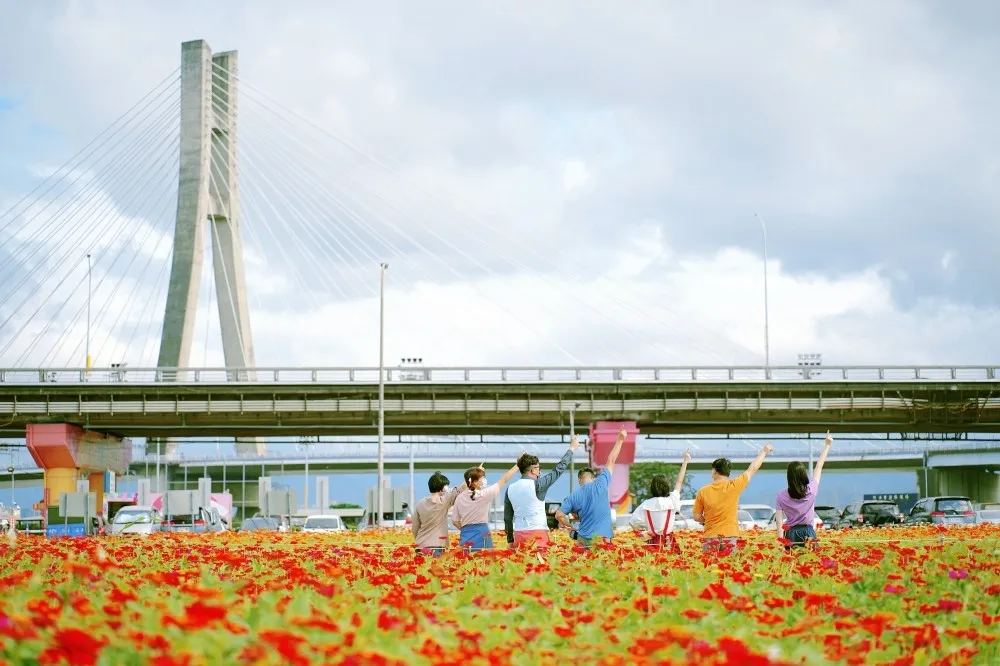 新北大都會公園「百日草花海」鮮豔登場！1 公頃繽紛花毯免費拍　暢玩全台最大戶外溜滑梯