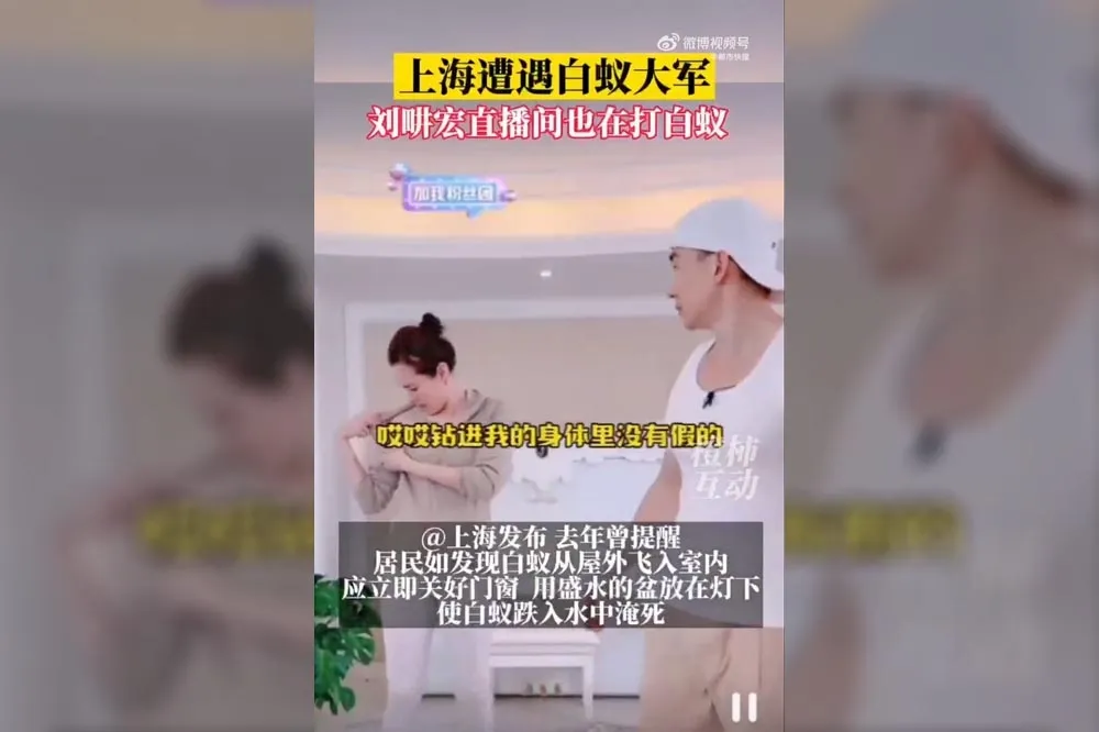 白蟻大軍侵襲上海　劉畊宏邊直播帶操邊抓飛蟲