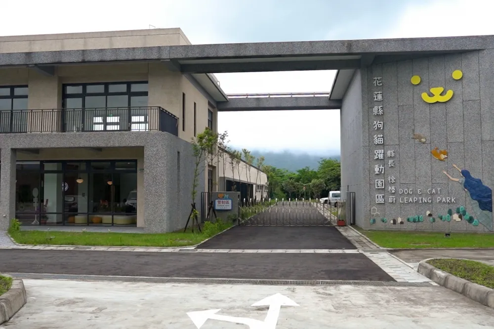 【全台最美】開箱花蓮縣狗貓躍動園區　環境美到像圖書館！