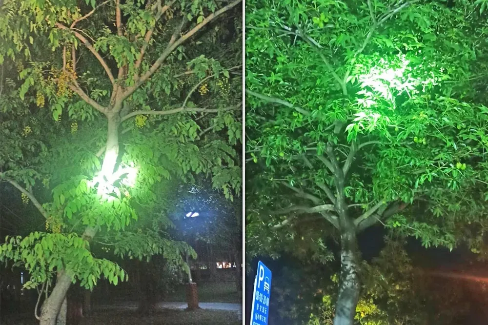 還讓不讓人呼吸啦！高雄半夜飄糞臭　罪魁禍首居然是「它」