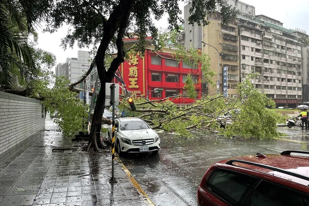 雷神發威！北市「雨彈+冰雹」瘋狂轟炸　多處路樹倒塌、2車遭殃