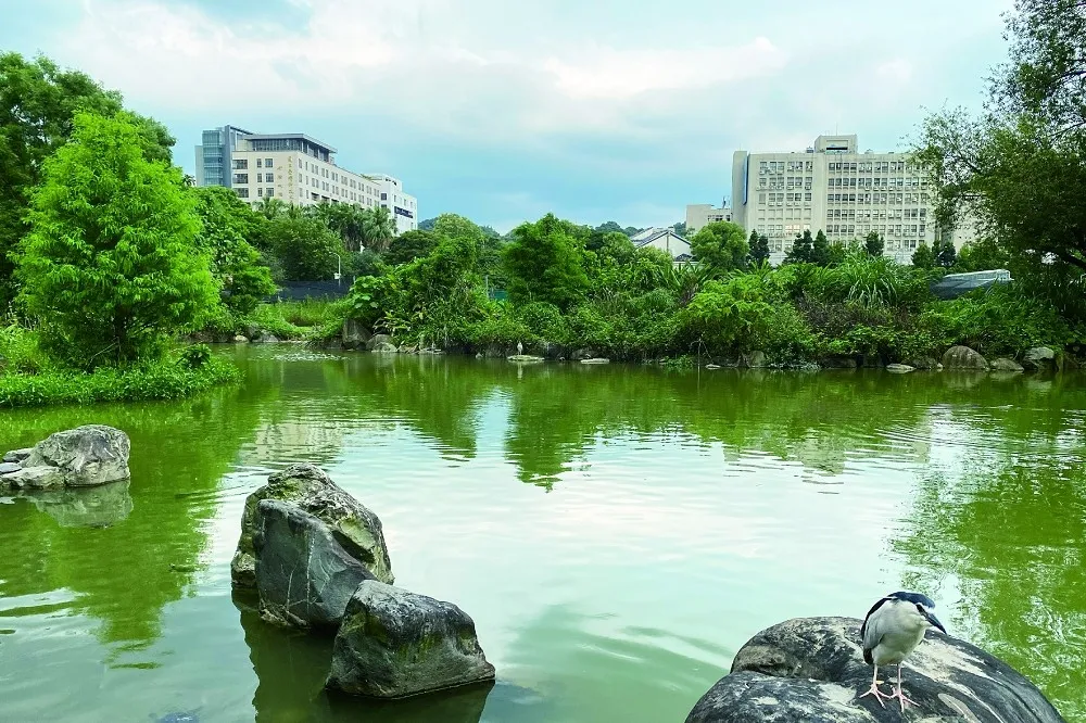 有水共度的美好城市！水利工程師楊佳寧：「在都市找回親水體驗。」