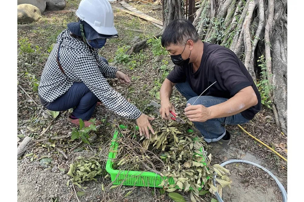 公私協力鳳頭蒼鷹一家四口無恙 　陳其邁：最好的生命教育