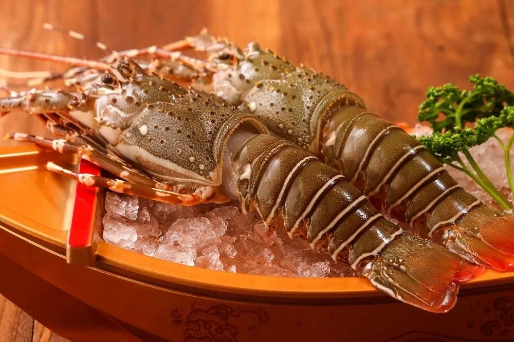 【龍蝦吃到飽】搶訂位！豐 food、YKNK club、和牛祭、新竹印 in 麻辣鍋　四家龍蝦料理任你吃
