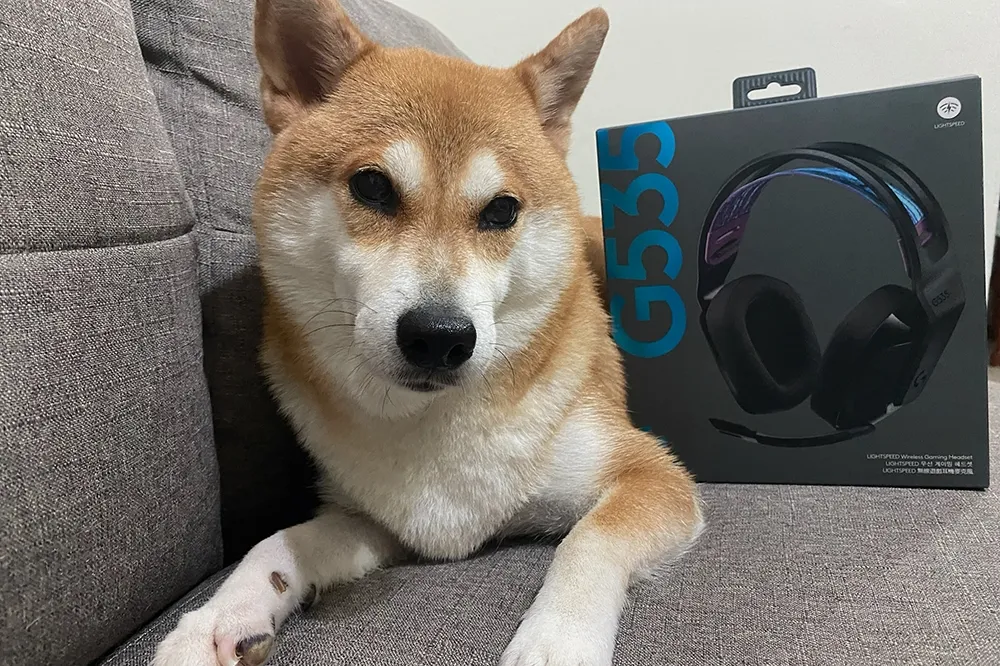 驚豔你的暑假！Logitech G G535 電競耳機開箱介紹