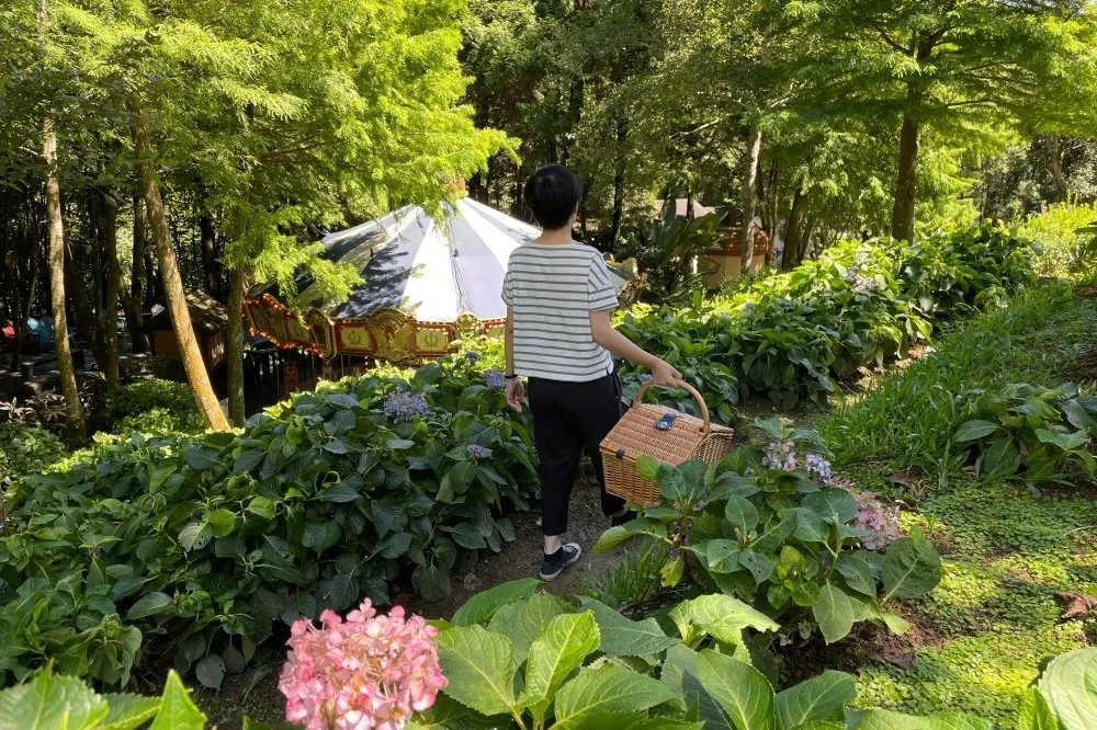 入住薰衣草森林民宿！白天沉浸迷幻樹林、夜探浪漫旋轉木馬