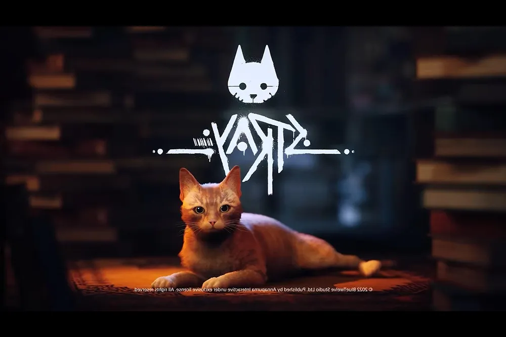 貓是亮點抑或唯一價值？浪貓冒險遊戲《Stray》心得評測