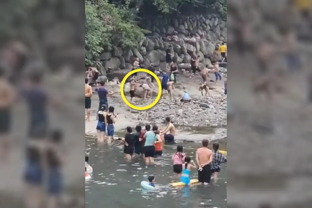 三峽大豹溪大亂鬥　男朝敵人丟石塊「糟糕！打到水某」