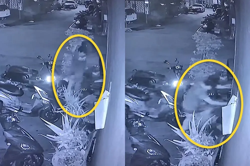 太可惡！桃園殘忍男虐殺無辜兔子　警方已掌握兇手特徵追緝中