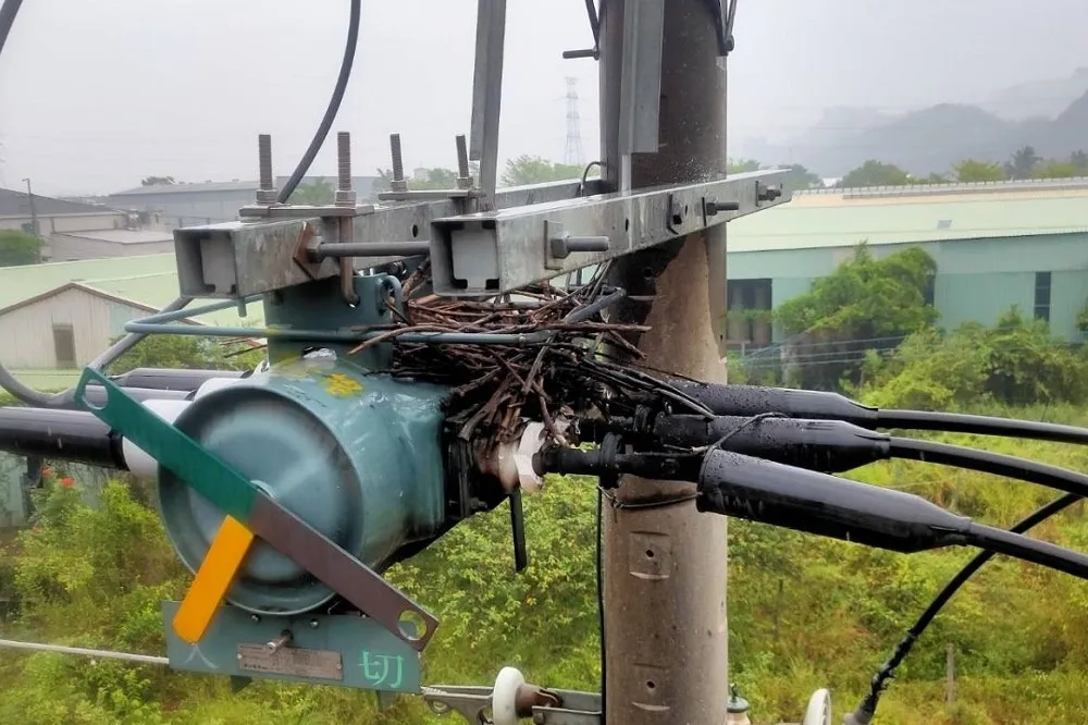 投書：停電次數減半、報導卻增十倍──誰在捏造缺電假象？