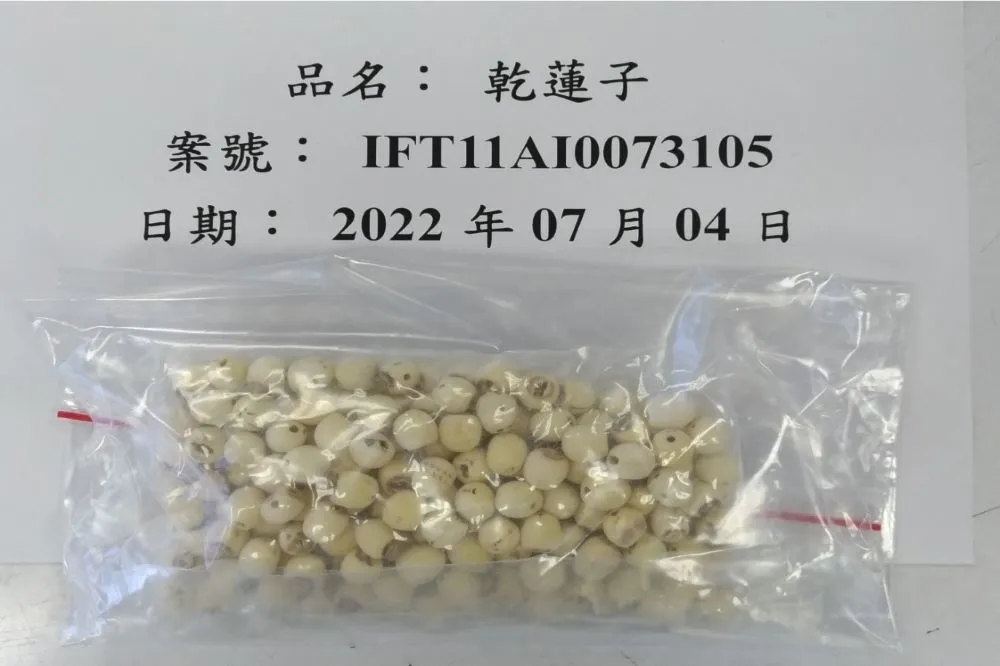 有毒！食藥署攔截近6000公斤中國乾蓮子　驗出黃麴毒素超標約10倍
