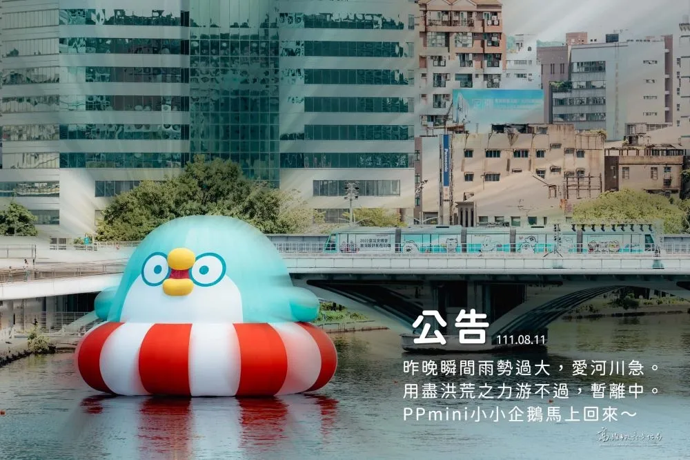 雨太大游不過？　高雄聊療漂漂河「PP Mini小企鵝」驚恐消風