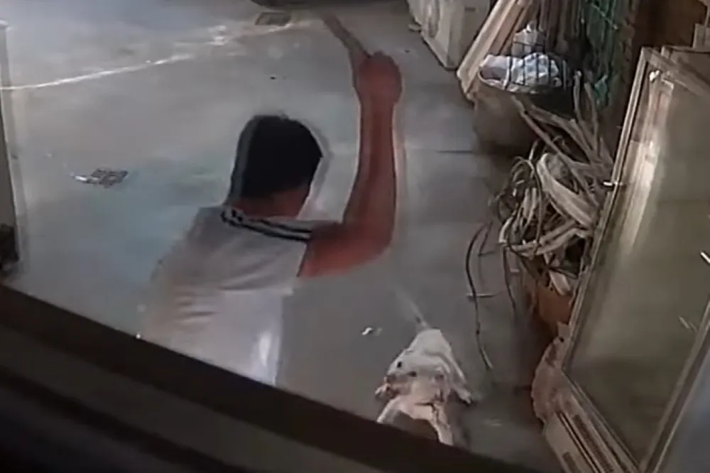 男發酒瘋拿鐵鎚狂打鄰居愛犬　毛小孩狂噴血、飼主心痛：牠是我們的家人
