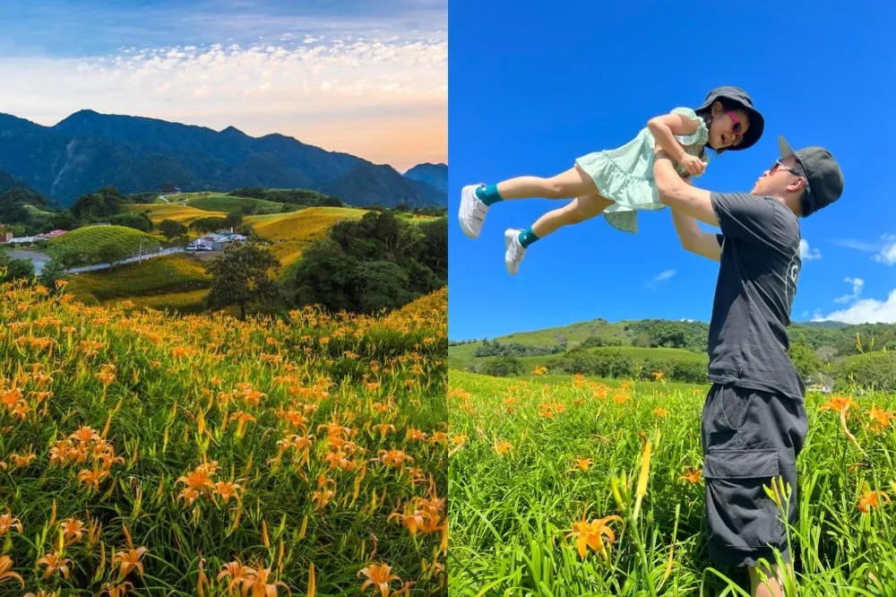 2022 花蓮金針花季盛大開跑！66 公頃金黃花海美不勝收　理想大地渡假飯店推住房專案送三餐、一日遊