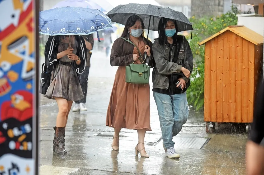 今飆高溫、午後雨神同行！　專家揭今年颱風侵台時間點