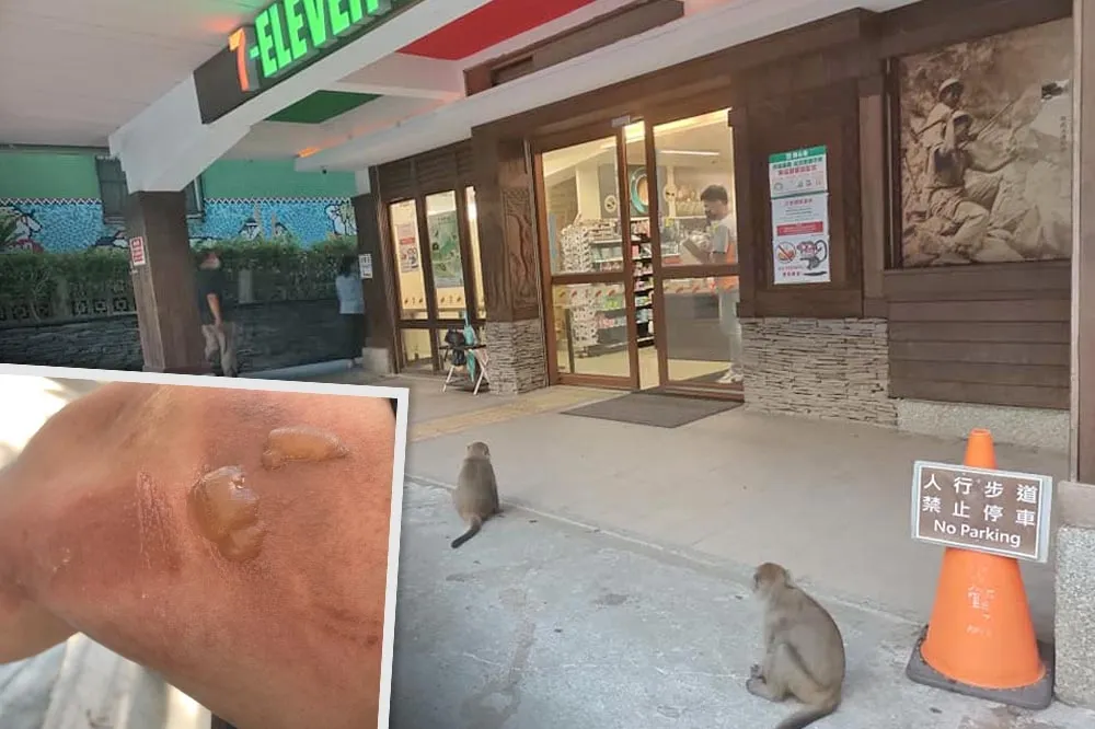 【潑猴之亂】花蓮超商吃泡麵遭「猴囡仔」搶食　整碗打翻腿上下場慘