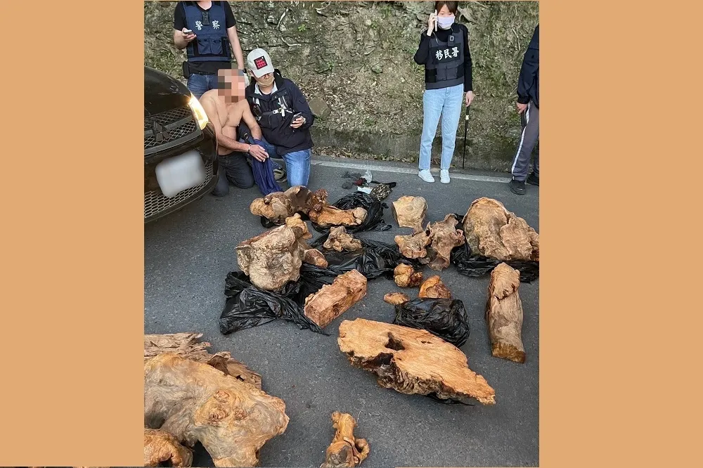  圍山抓鼠！移民署聯合警政署破獲越南山老鼠盜伐集團
