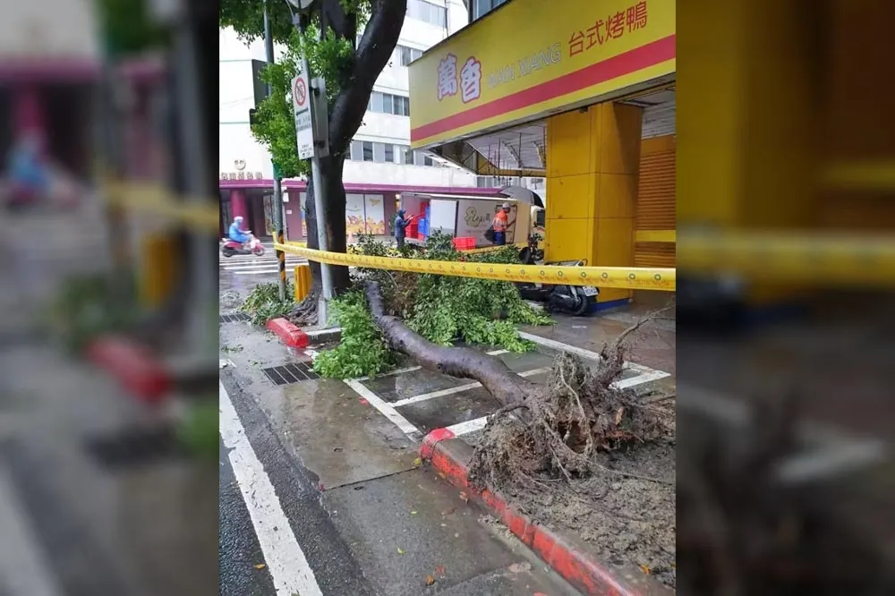 軒嵐諾災情頻傳！台北電線桿腰折　宜蘭鷹架倒塌狠砸警車