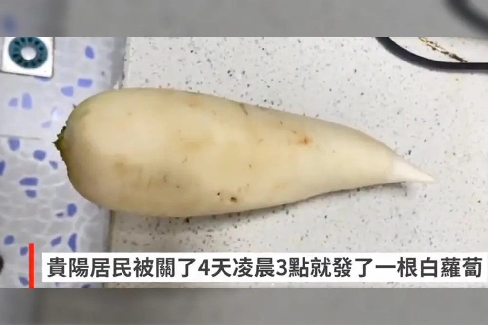 【吶喊片】4天只領到一根白蘿蔔！　貴陽居家靜態封控市民等嘸物資