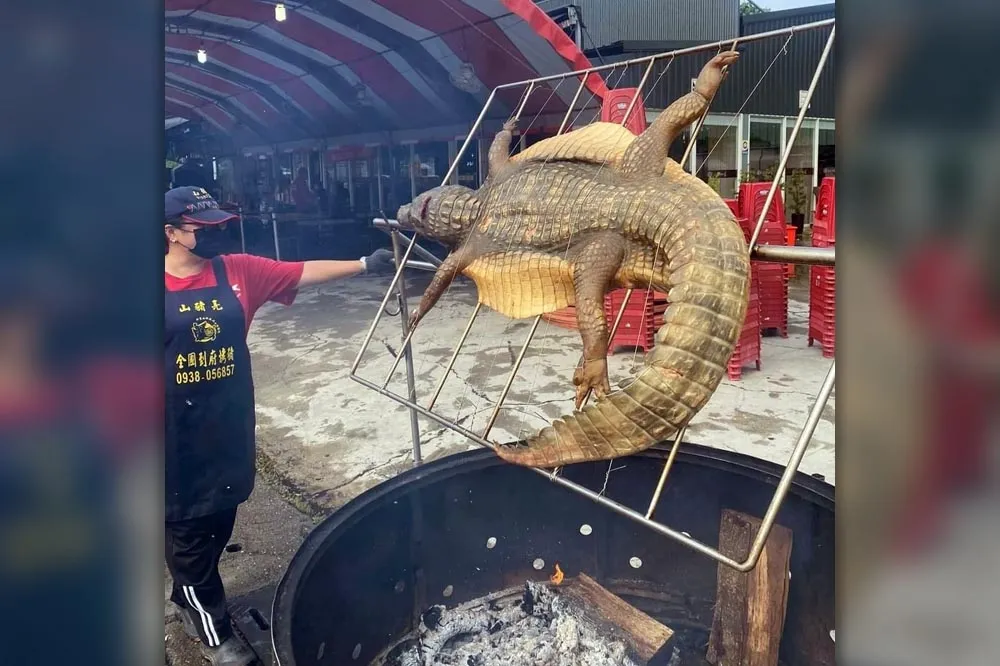 中秋最狂烤肉在這！超大鱷魚整隻網上烤　網友驚：還可以這樣烤喔？