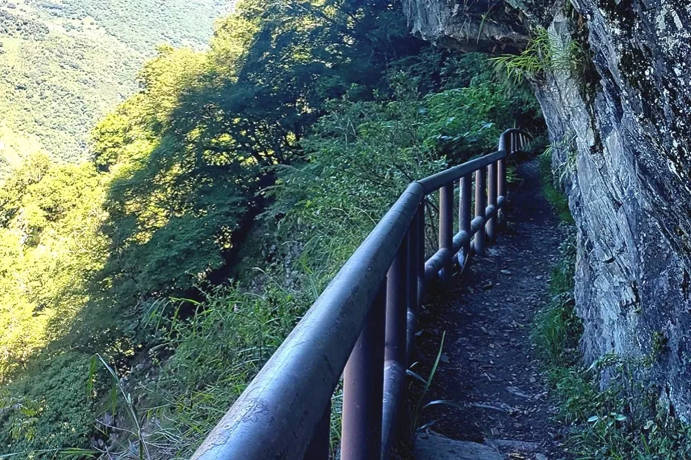 山友攀爬八通關古道　入山2小時墜300公尺深谷亡