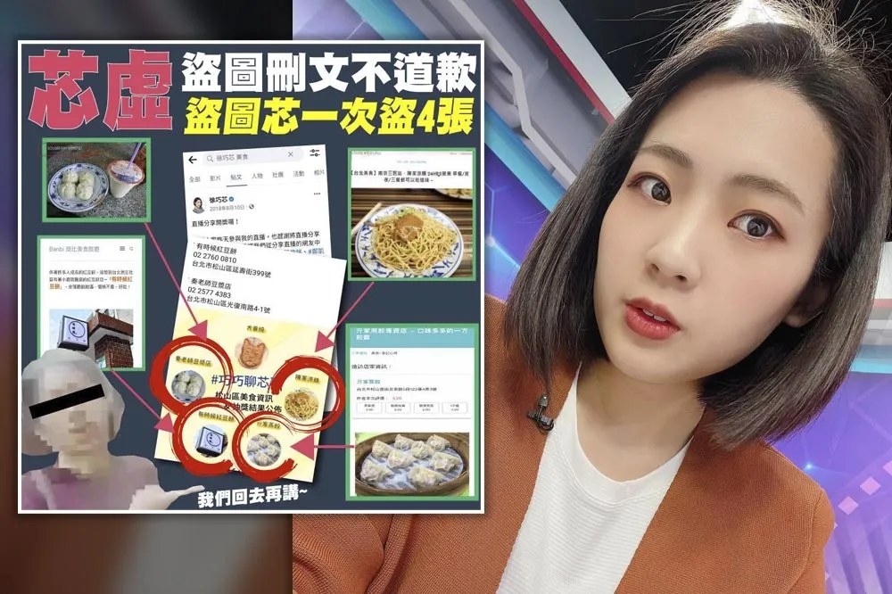 迴力鏢來了！徐巧芯也被抓盜圖　辯稱：只是整理資訊