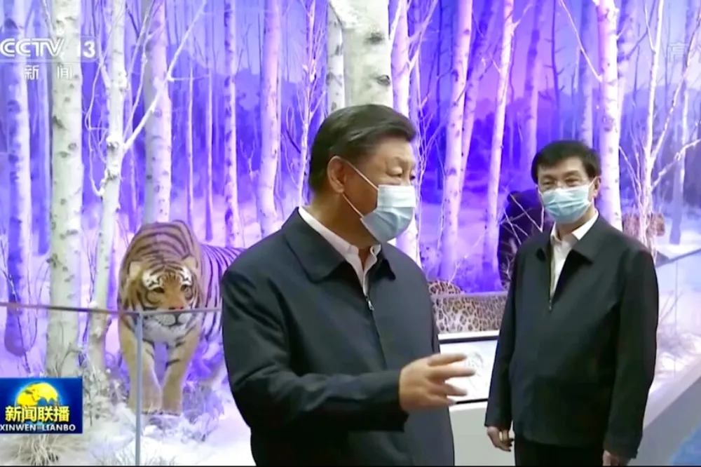 奉行習近平「鬥爭」精神　中國外交部表態未來5年繼續當戰狼