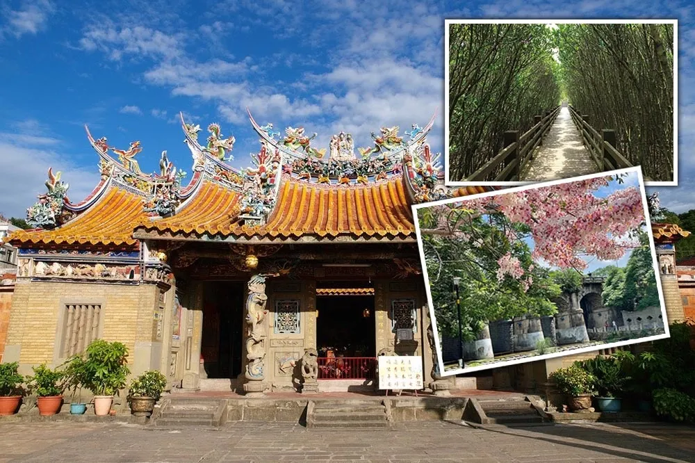 新竹縣府「新十三景」龍貓隧道、《茶金》場景超好拍　民眾大讚：好像日本！