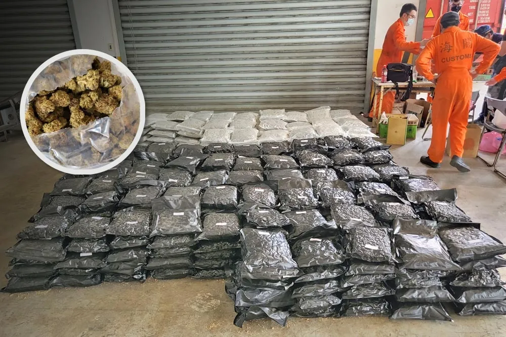 偽裝成「哈姆太郎」用的木屑土　警查獲市價7億大麻花