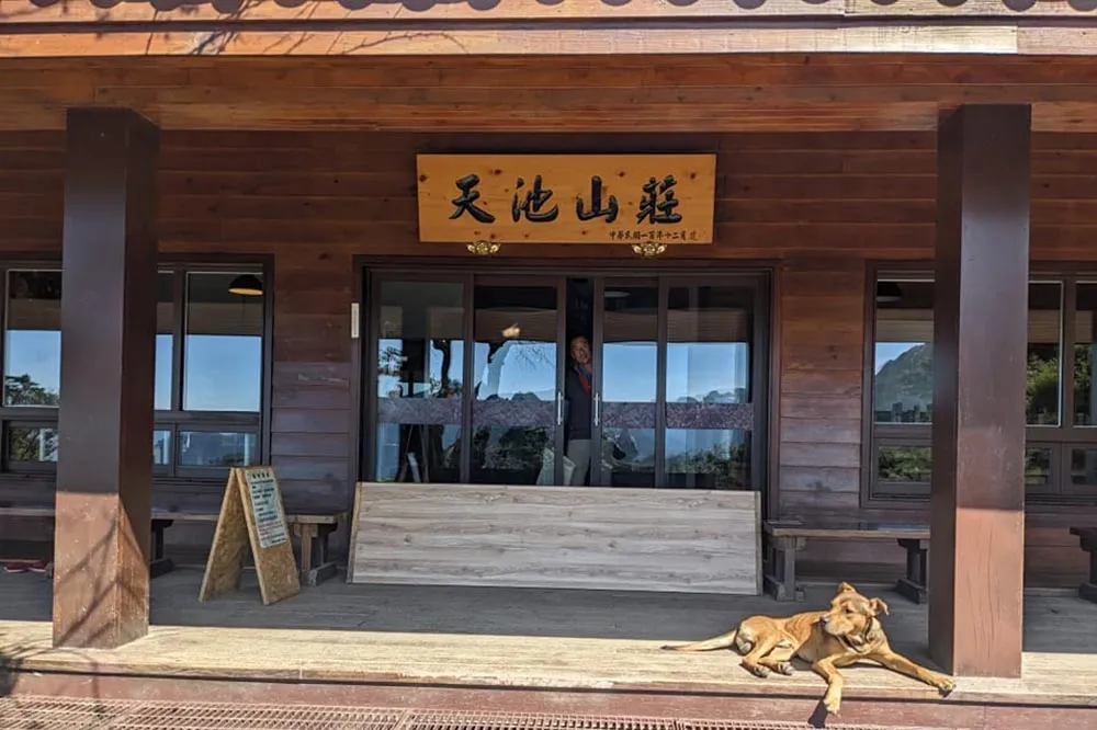 流浪狗「小黃」愛隨行跟進能高安東軍縱走　天池山莊籲「愛牠，請不要餵牠」