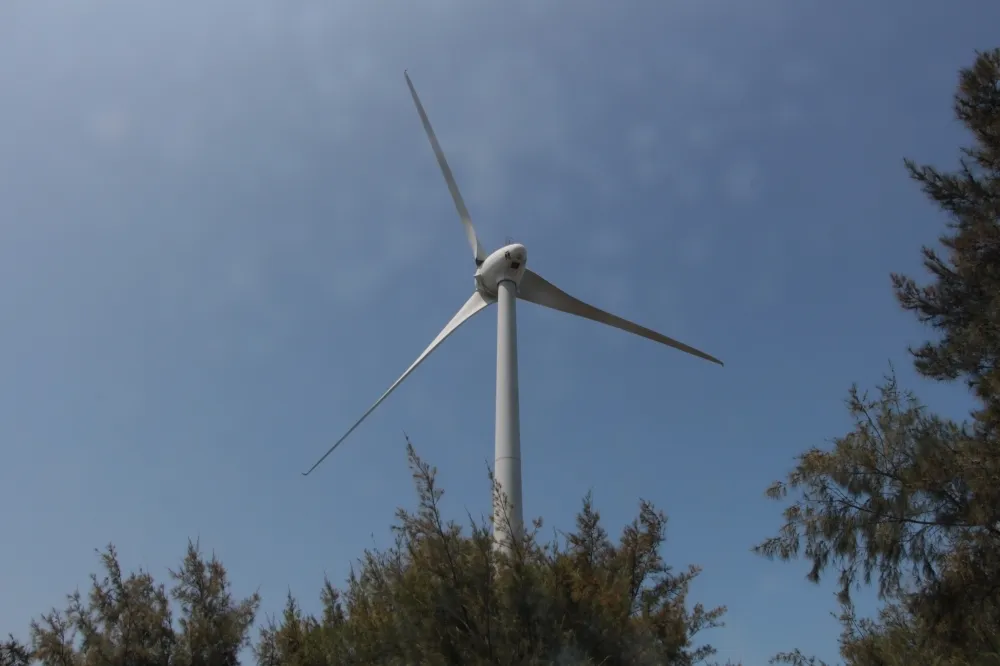 綠能發展注強心針！東北季風增強　風力瞬時發電量突破歷史新高