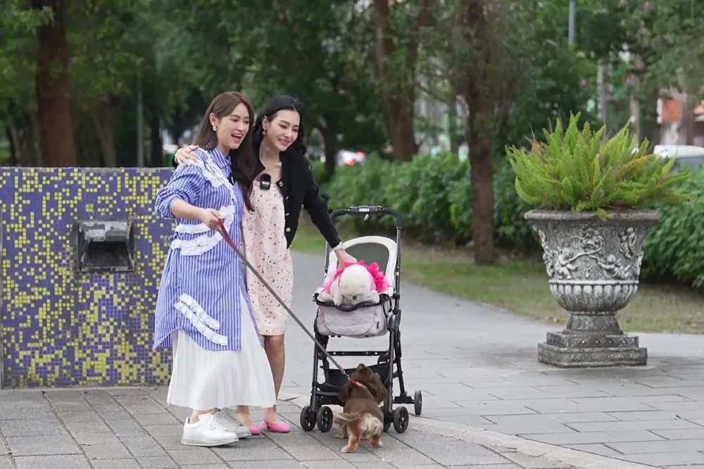 吳姍儒《萌寵明星粗乃玩》第2季開播　王思佳曝與愛犬生死之約